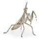 White Brass Praying Mantis
