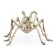 White Brass Ant