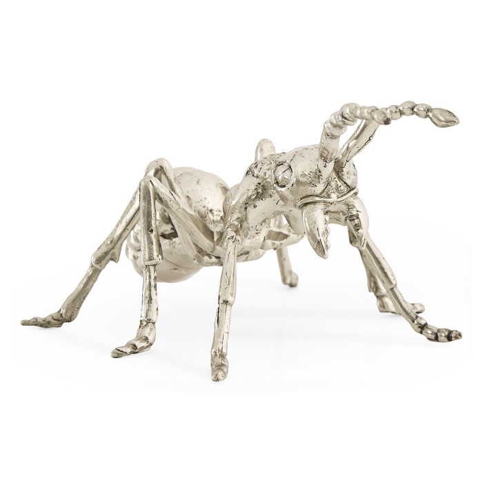 White Brass Ant