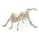 White Brass Ant