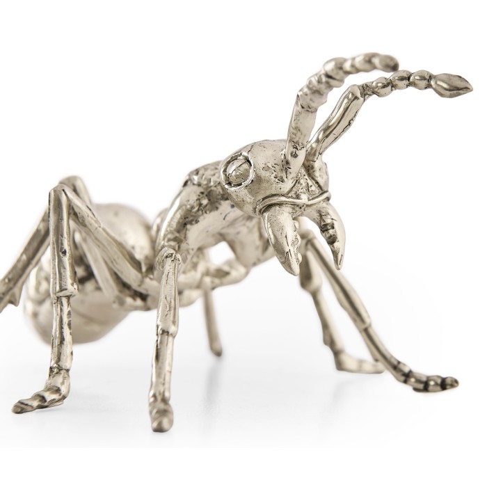 White Brass Ant