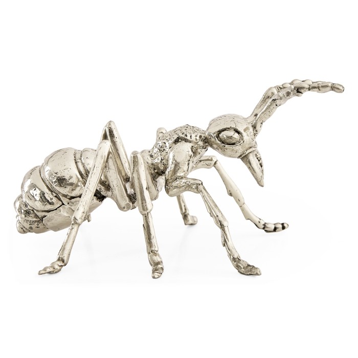 White Brass Ant