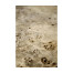 Hamilton Burl Side Table