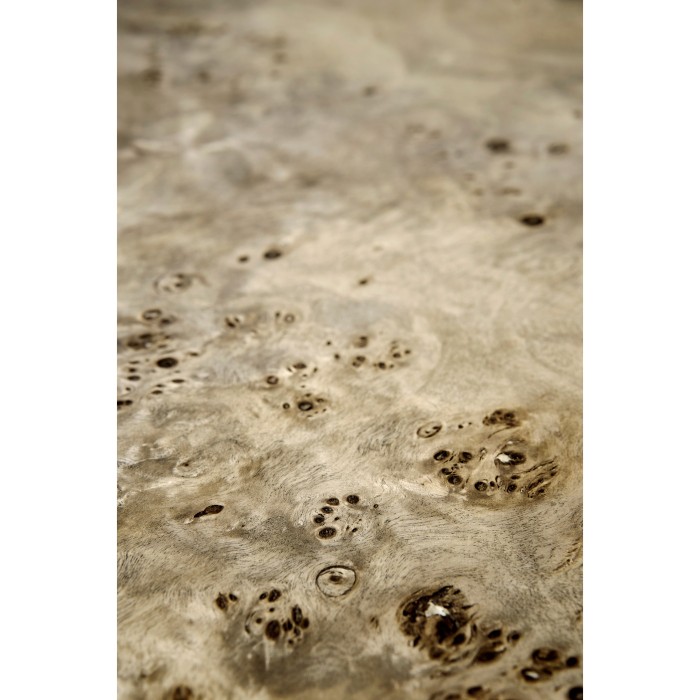 Hamilton Burl Side Table