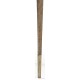 Hamilton Burl Side Table