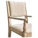 Aster Arm Chair