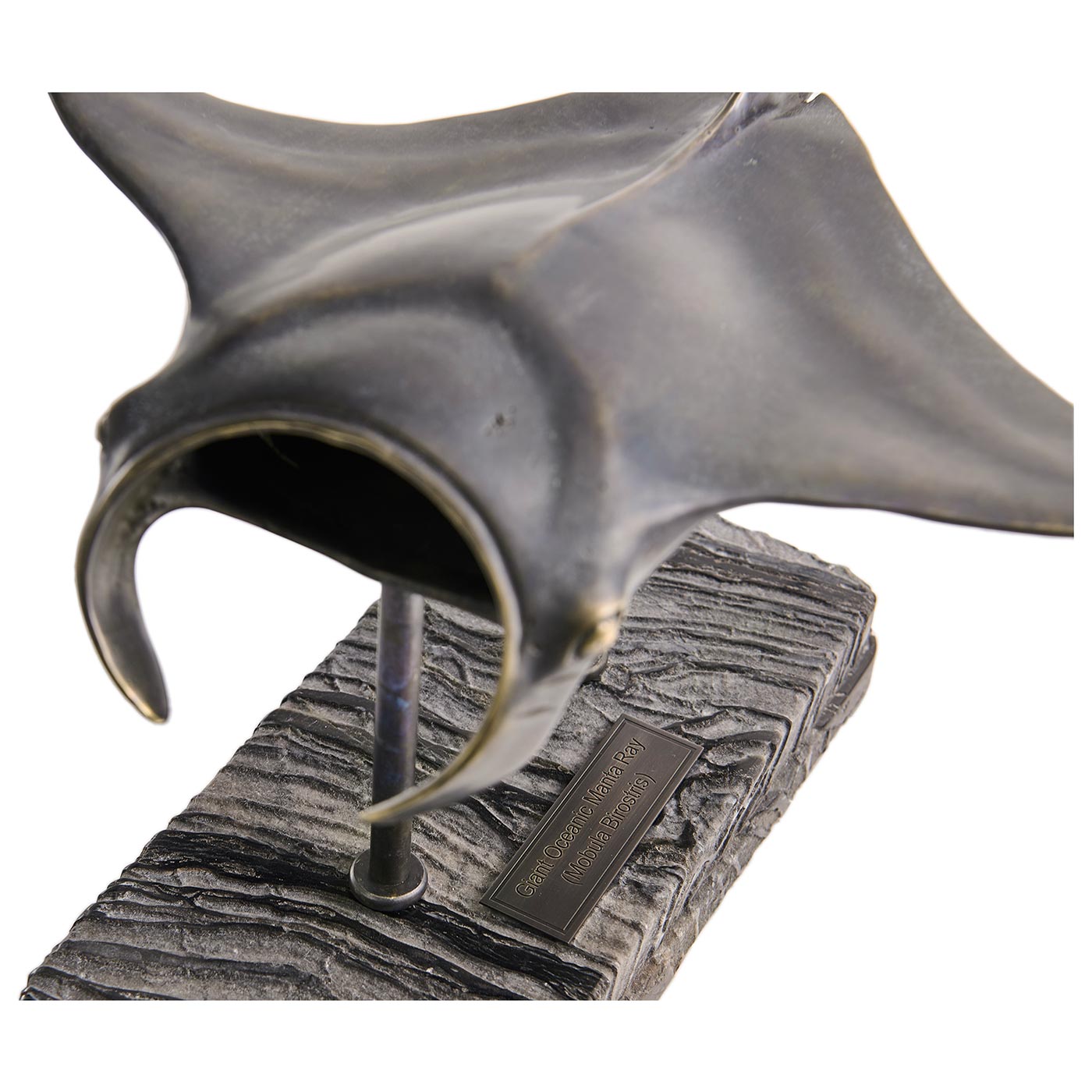 Manta Ray Bronze Statue with Marble Base