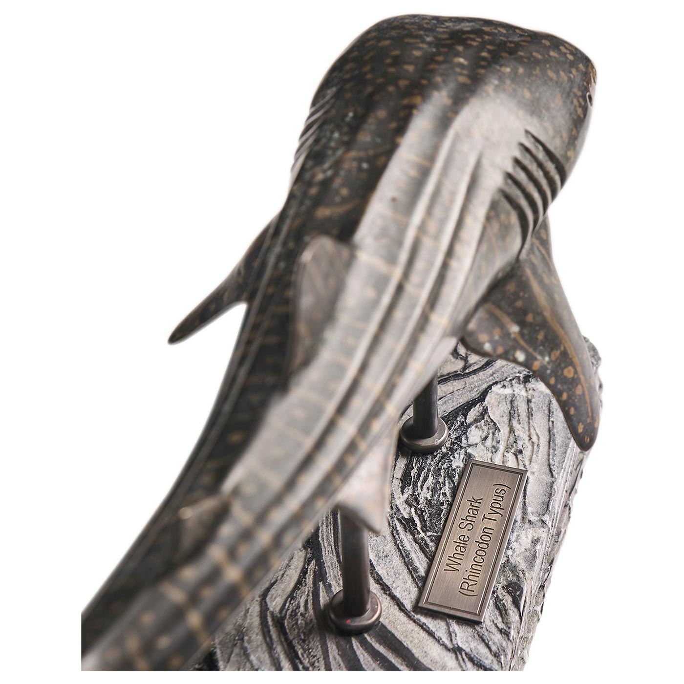 Whale Shark Bronze Statue with Marble Base