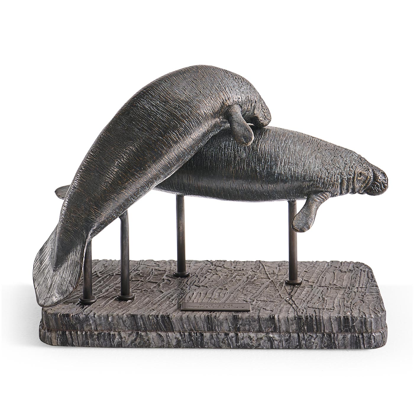 Raised Manatee Bronze Statue with Marble Base