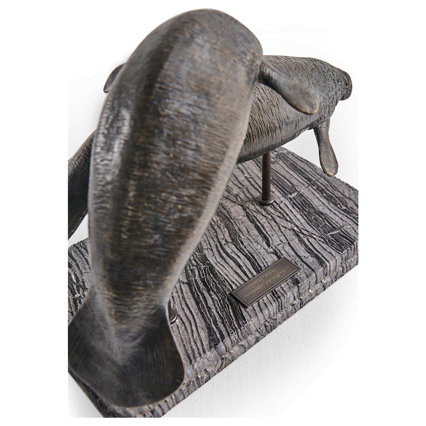 Raised Manatee Bronze Statue with Marble Base