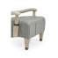 Modern Winged Grey Oak Occasional Chair