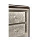 Black Eucalyptus & Silver Espresso Nightstand with Drawers