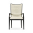 Fusion Arm Chair