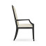 Fusion Arm Chair