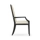 Fusion Arm Chair