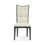 Fusion Side Chair