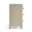 Cotidal Accent Nightstand/Hall Chest
