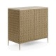 Cnoidal Carved Cane Door Chest