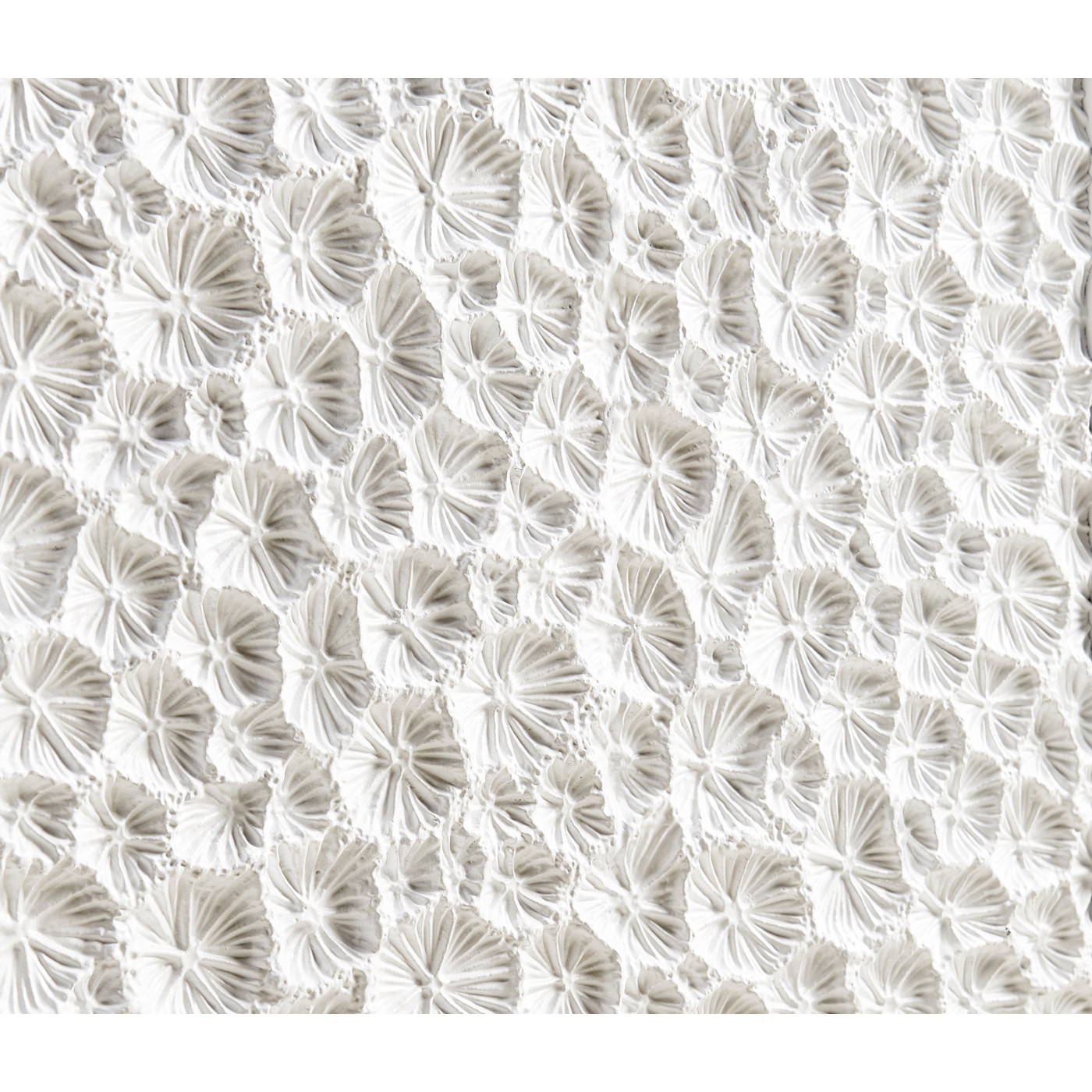 Pelagic Sculpted Credenza