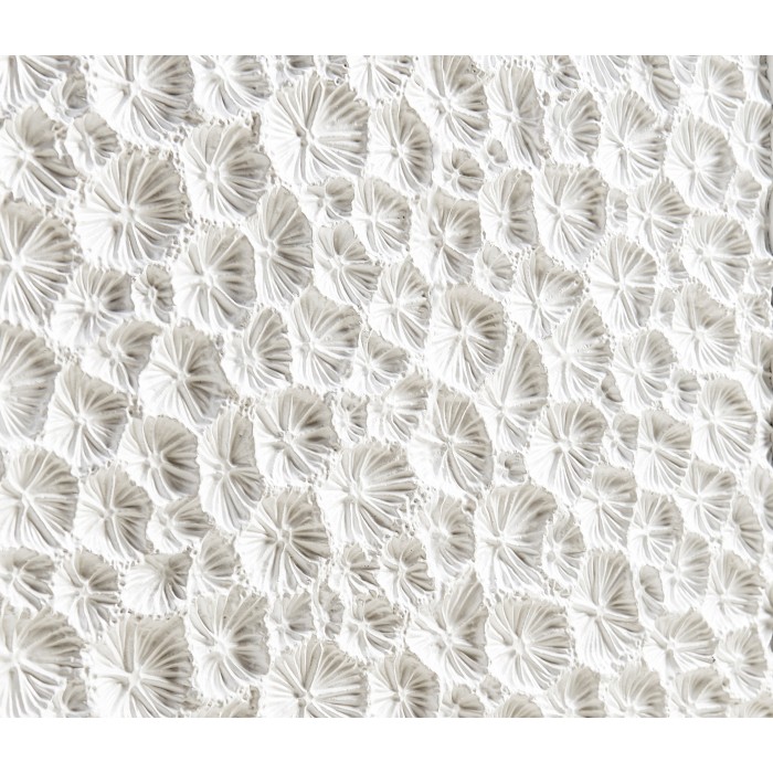 Pelagic Sculpted Credenza