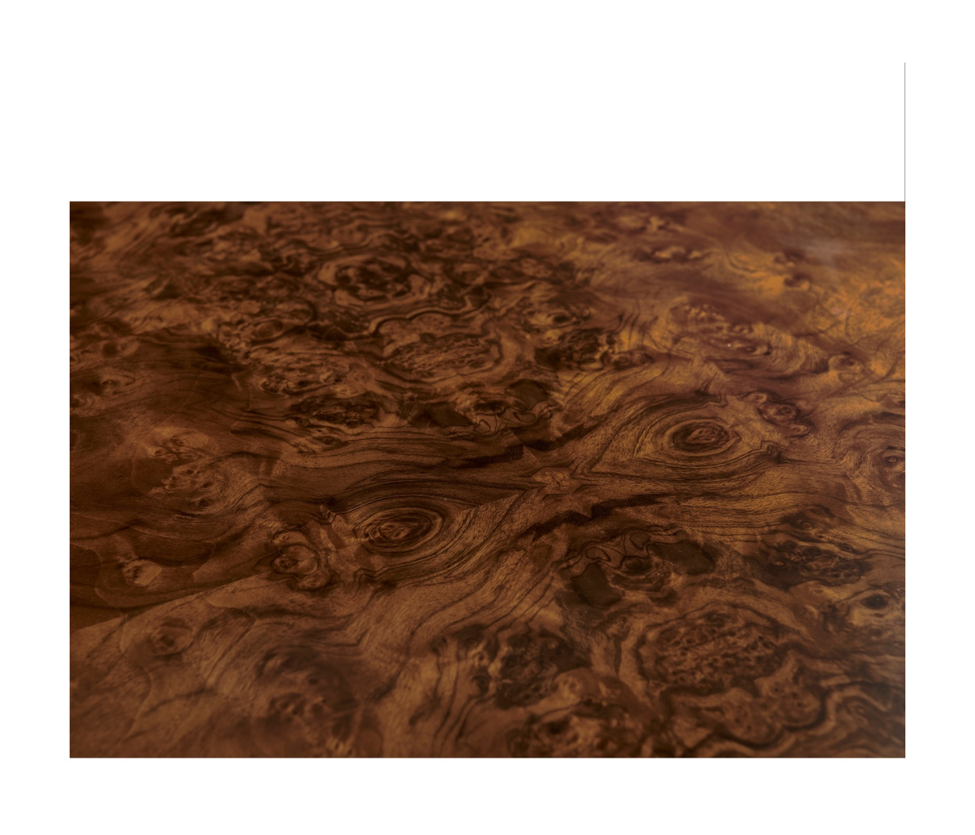 Jacques Radius Cocktail Table