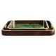 Verdure Rectangular Tray - Set of 2