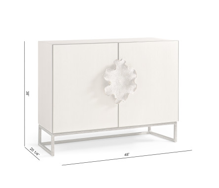 Cynaria 2 Door Cabinet