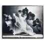 Silver Conch