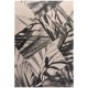 Palm Shadow