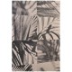 Palm Shadow