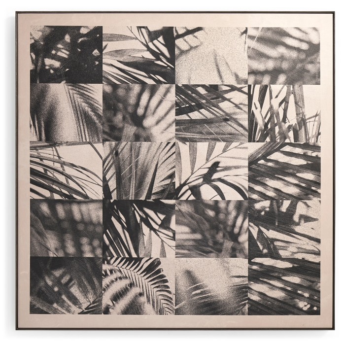 Palm Shadow