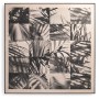 Palm Shadow