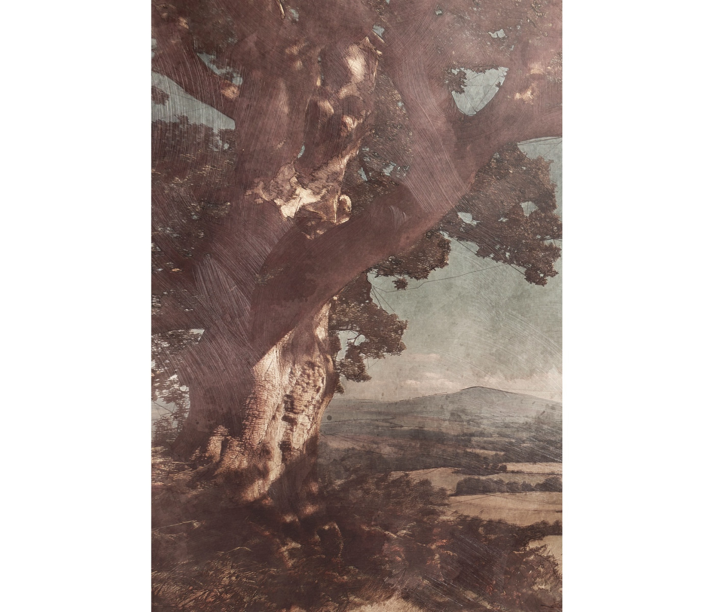 English Rolling Hills