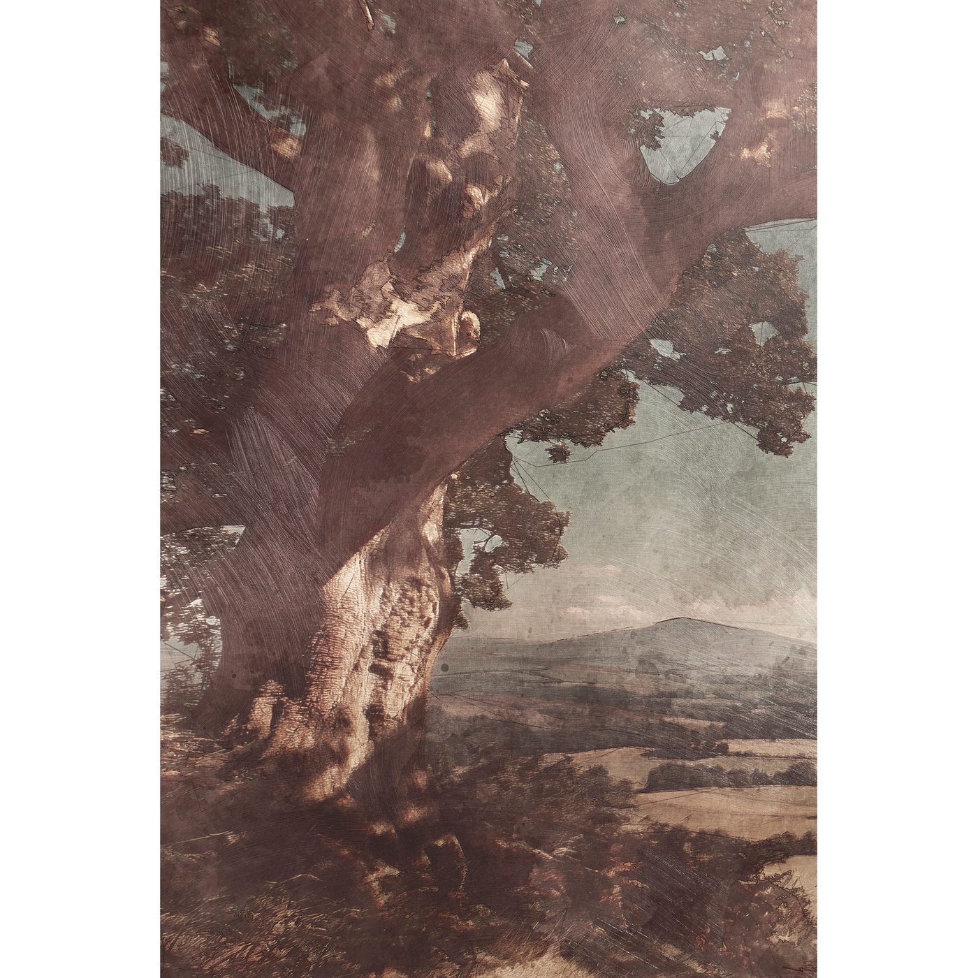 English Rolling Hills