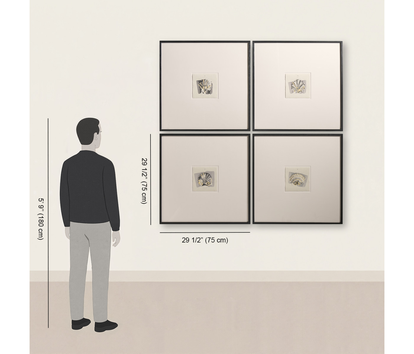 Architectural Clamshells - Set of 4