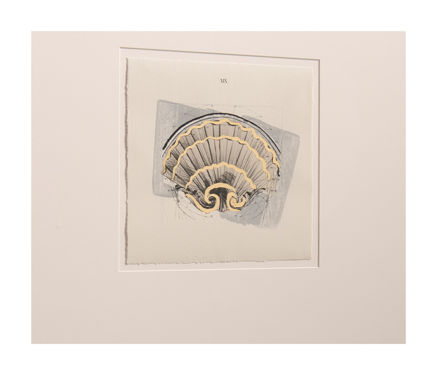 Architectural Clamshells - Set of 4