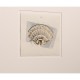 Architectural Clamshells - Set of 4