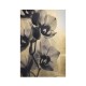 Black Orchids - Set of 2