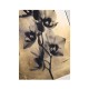 Black Orchids - Set of 2