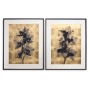 Black Orchids - Set of 2