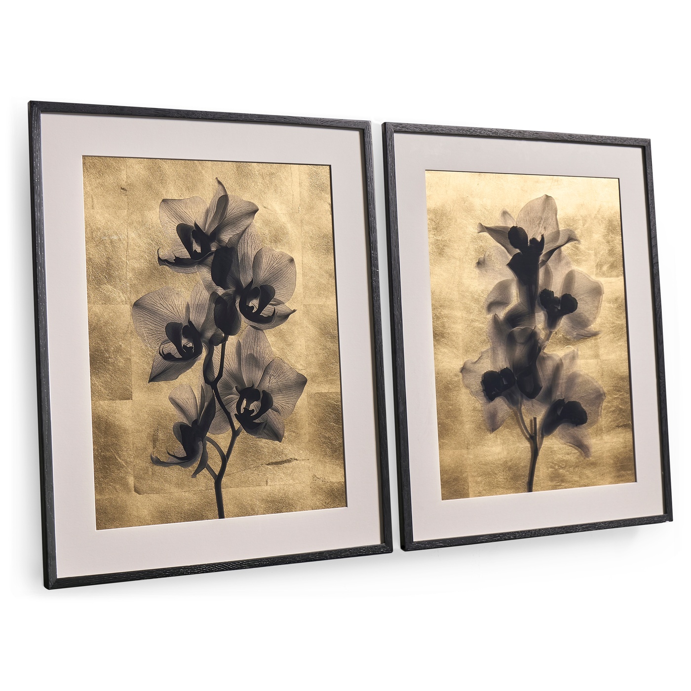 Black Orchids - Set of 2