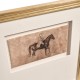 Equestrian Lines in Motion - Set of 4