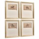 Equestrian Lines in Motion - Set of 4