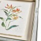Petals and Process - Set of 6