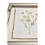Petals and Process - Set of 6