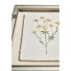 Petals and Process - Set of 6