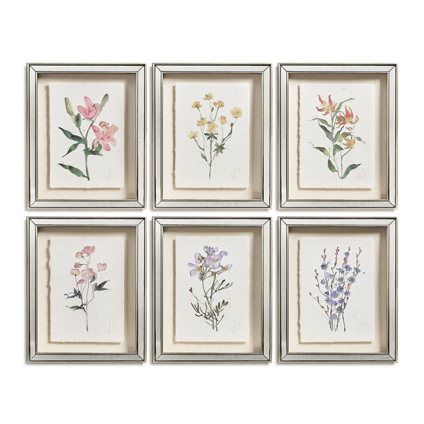 Petals and Process - Set of 6