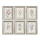 Petals and Process - Set of 6