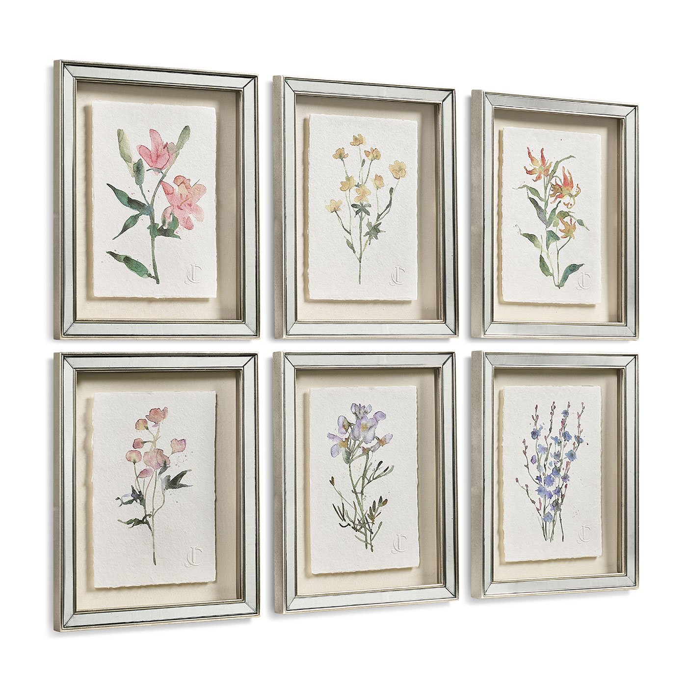Petals and Process - Set of 6