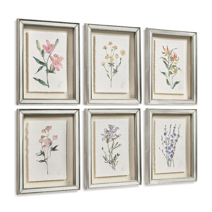 Petals and Process - Set of 6